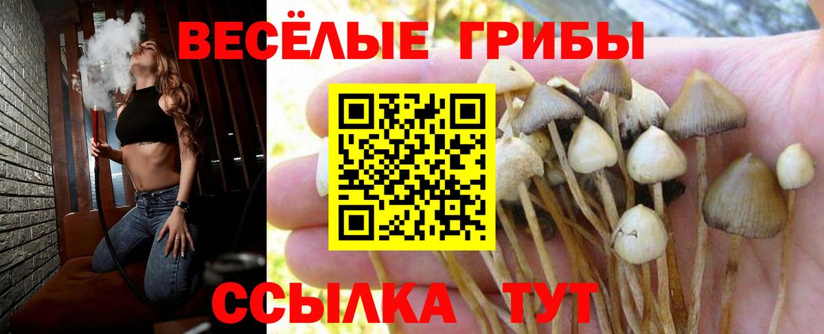 Первоуральск  Галлюциногенные грибы Magic Shrooms  хочу наркоту  Вход с VPN 
